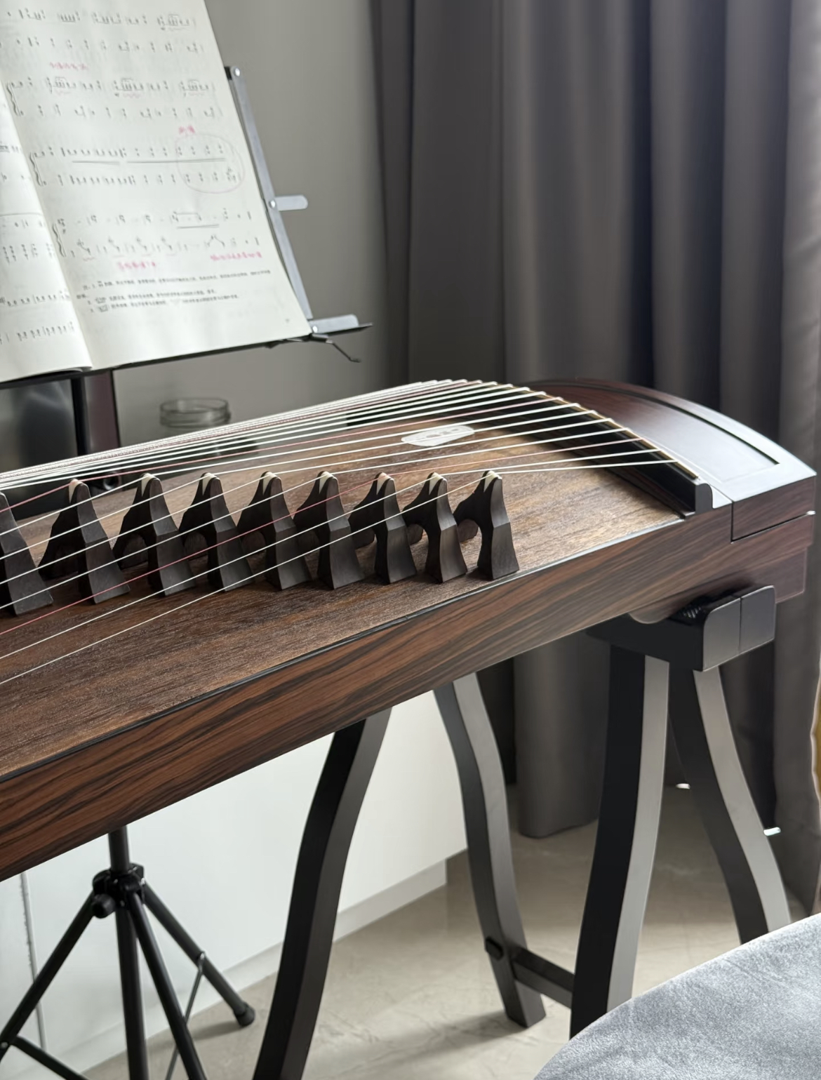 Guzheng photo